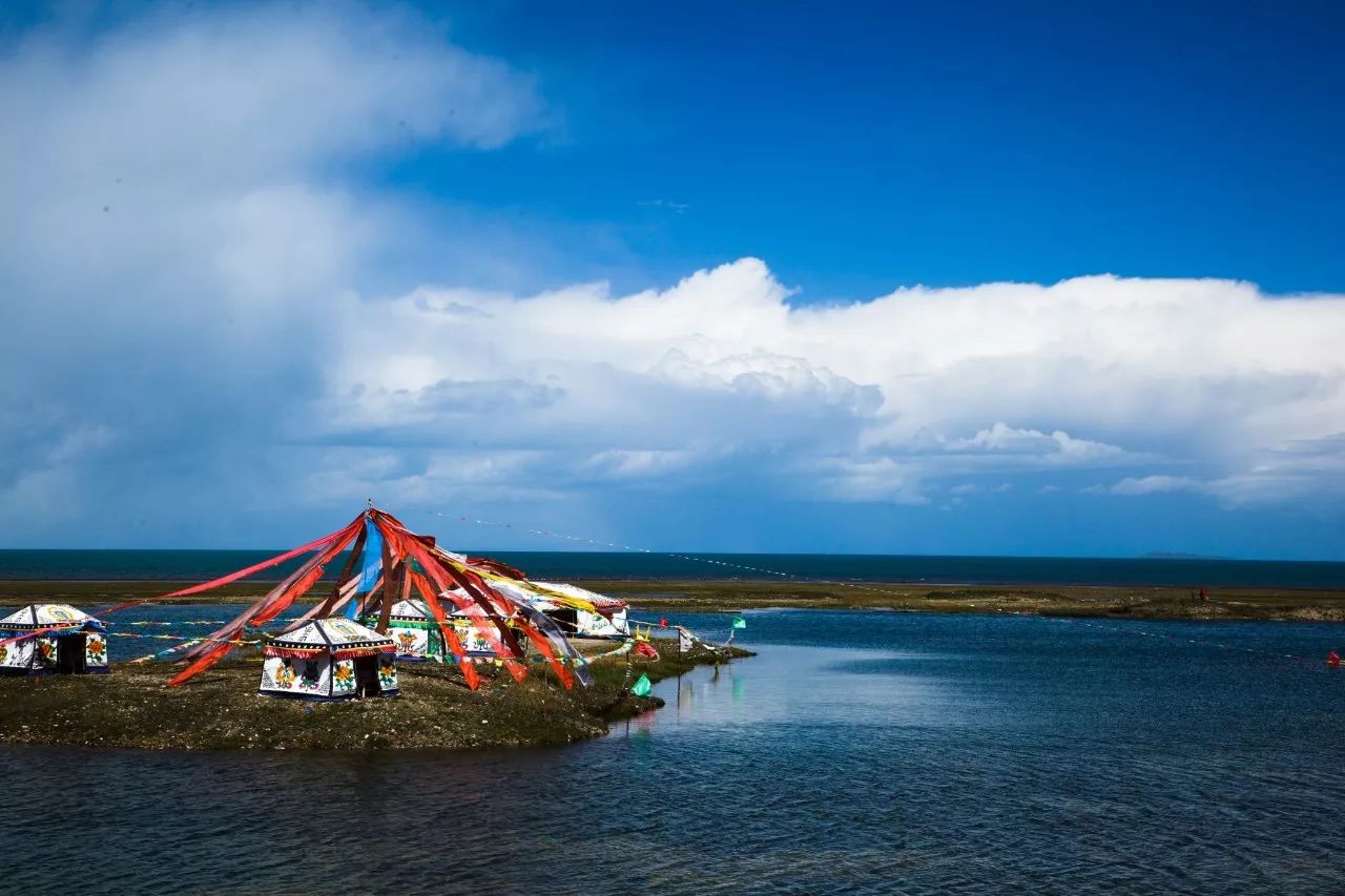 青海，领导与朋友共鉴盛会