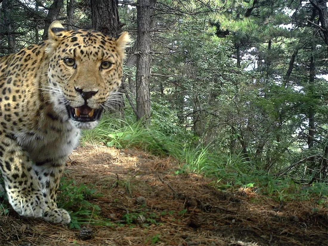 承德,致敬亲爱的听众们